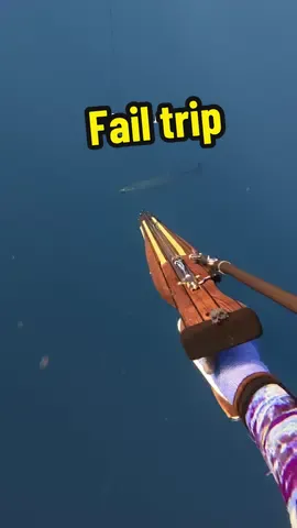 This one hurt #fypage #fishing #spearfishing 