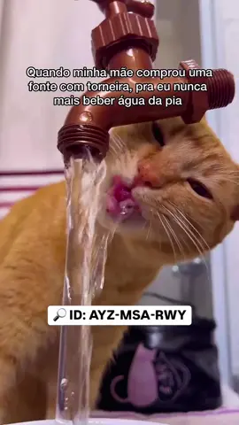 A melhor solução para os seus pets 🤩 (link e ID nos comentários) #achadosshopee #achadinhos #torneiramagica #aguainfinita #shopee #pets