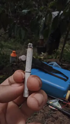 Di puji tidak terbang di hina tiap hari bang😐  #fypage #fypシ゚viral #masukberanda #petanimuda #petanikopi #petanimilenial 