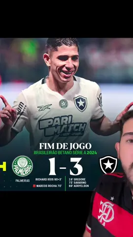 Botafogo calou toda a mídia brasileira e vence o palmeiras no Allianz parque #botafogo #fogao #fogo #palmeiras #glorioso #brasileirao 