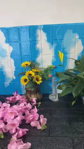 chim gia trong suot #chimgiatrongsuot #chimgia #nhactrutinh #phunuhiendai #docthan #xuhuong #LearnOnTikTok