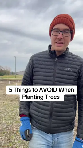 These 5 things can kill your tree and aet you back precious time. #gardening #garden #orchard #gardentips #gardentok #fyp #fypシ #gardeningtips 