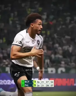 Vai tomando 🤣🔥🌟 | #botafogo #palmeiras #edit #fyp 