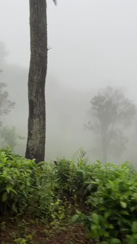 #ettampitiyasrilanka🇱🇰 #badullasrilanka 🥶🥶