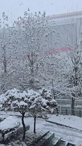 1년에 한번 오는 겨울이, 눈이 내리는 계절이, 우리에게 다시 한번 다가왔습니다 #첫눈 #눈 #겨울 #감성 #풍경 #학교 