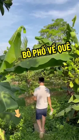 Bỏ phố về quê xây kênh tiktok 🤔 #khanghatay 