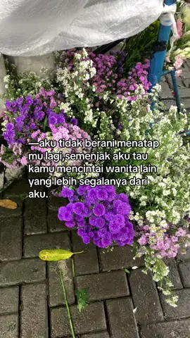 #tiktokfyp #beranda #lewatberanda #fyplah #fypsu 