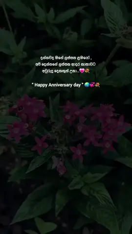 ඔන්න අවුරුදු දෙකක් කියලා ඔනි අයට 💐💗@❤️Nethmi Roshel Fans❤️ @😘❤-දිනු බාබා-❤😘 #Love #trending #foryou #anniversary #cupalelove #viral 