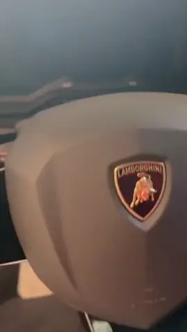Đi chăn bò.##lamborghini##xuhuongtiktok2024💝