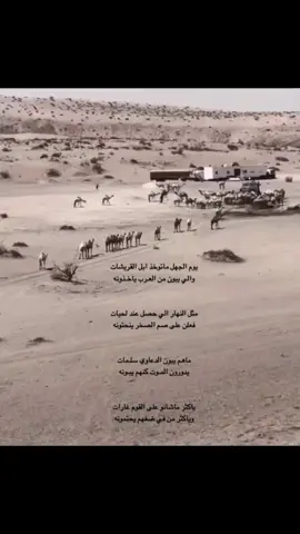 #القريشات #سبيع #الشرفاء #الاد_العسيلي #القريشات_الزكور_سبيع #صاقب_القريشات #الصاقب_القريشات #عرق_سبيع_القريشات #عرق_سبيع_القريشات_الصاقب_الدويحي #القريشات_فرسان_سبيع_ودرع_الخرمه #القريشات_درع_الخرمه #القريشات_العنوز #القريشات_الشهمة 