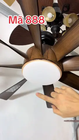 Quạt trần 8 cánh gọi là quá êm và mát lịm #quattranden  #quattran8canh  #quạttran6canh  #xuhuong  #thinhhanh 