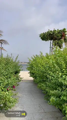 صباح الخير .. كيف صبآحكم ؟ #جدة#ابحر#مطر#سهر#غيم#الشفا#اجازة#مشاري_العتيبي#اجواء#عتب#قصيد#كبرياء#شعر#تصويري#الاتحاد#الاهلي#امطار#شوق#حب#البحر#الواجهة_البحرية#طريق_الملك#شانغريلا#أكتوبر#الاتحاد#الاهلي#بحر_جدة#الدرة_العروس#محمد_السهلي#غيوم_جدة#صباح_الخير#صباحات#امطار_جدة_الاكسبلور#مدينة_الملك_عبدالله_الاقتصادية#شاطئ_يام#حديقة_البيلسان#دي_جي_جدة#كوفيهات_جدة#جديد_جدة#your_coffee#حلا#قهوة_اليوم#جو_جدة