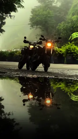 විසිතුරු මල් 💐 XR-4528💥 300cc (not your ordinary D Tracker)  #tiktok #viral #dtracker #kawasaki #trending #foryou #foryoupage #capcut #srilanka #nature #bikeculture #fyp #templatecapcut 