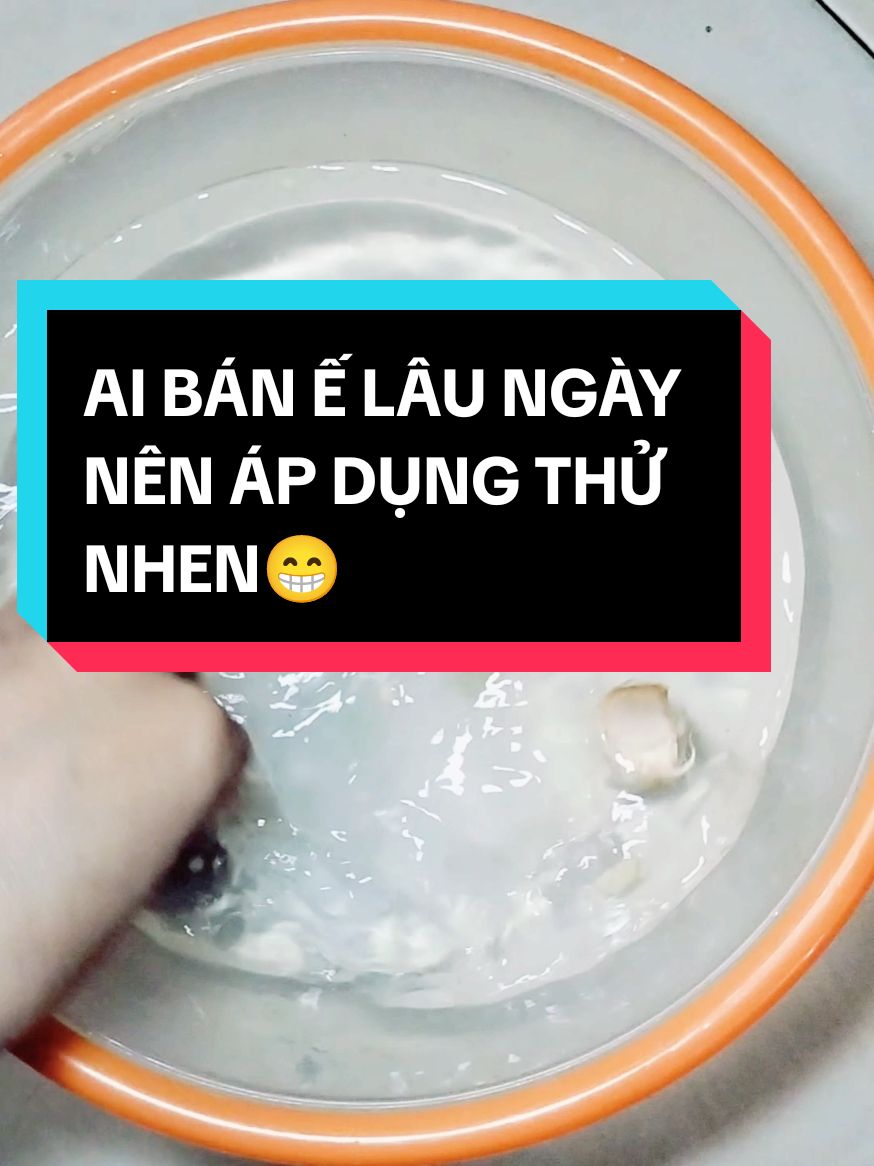 BÁN Ế LÂU NGÀY NÊN ÁP DỤNG THỬ NHEN QUÝ DZI😁🙏🌿