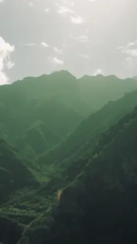 Qué tal mi nueva Canción? ✨️ #fypp #hopecore #hopercore #sanar #hopercoretiktok #fouryou #fy #parahombres #fyyyyyyyyyyyyyyyy #motivation #saludemocional #emotional #viralvideo #ayuda #viraltiktok #Viral #paratii #fyp 