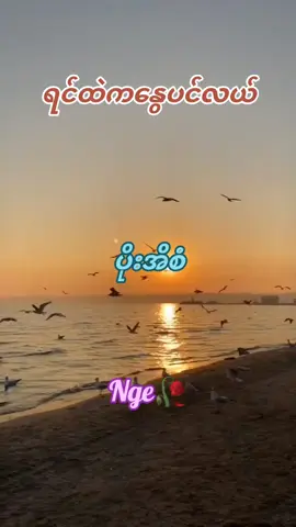 #Nge #မြန်မာသံစဥ်ချစ်မြတ်နိုးသူ #ရောက်ချင်တဲ့နေရာရောက်👌 