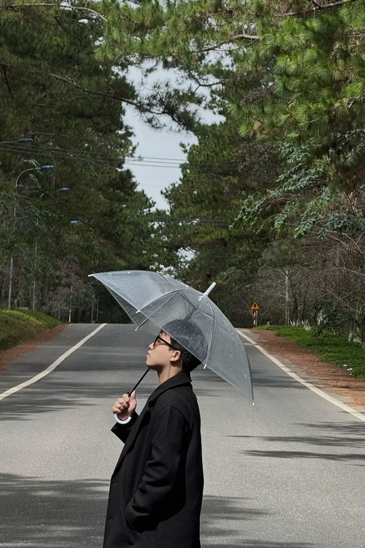 Măng Đen 21-11-2024 #mangden