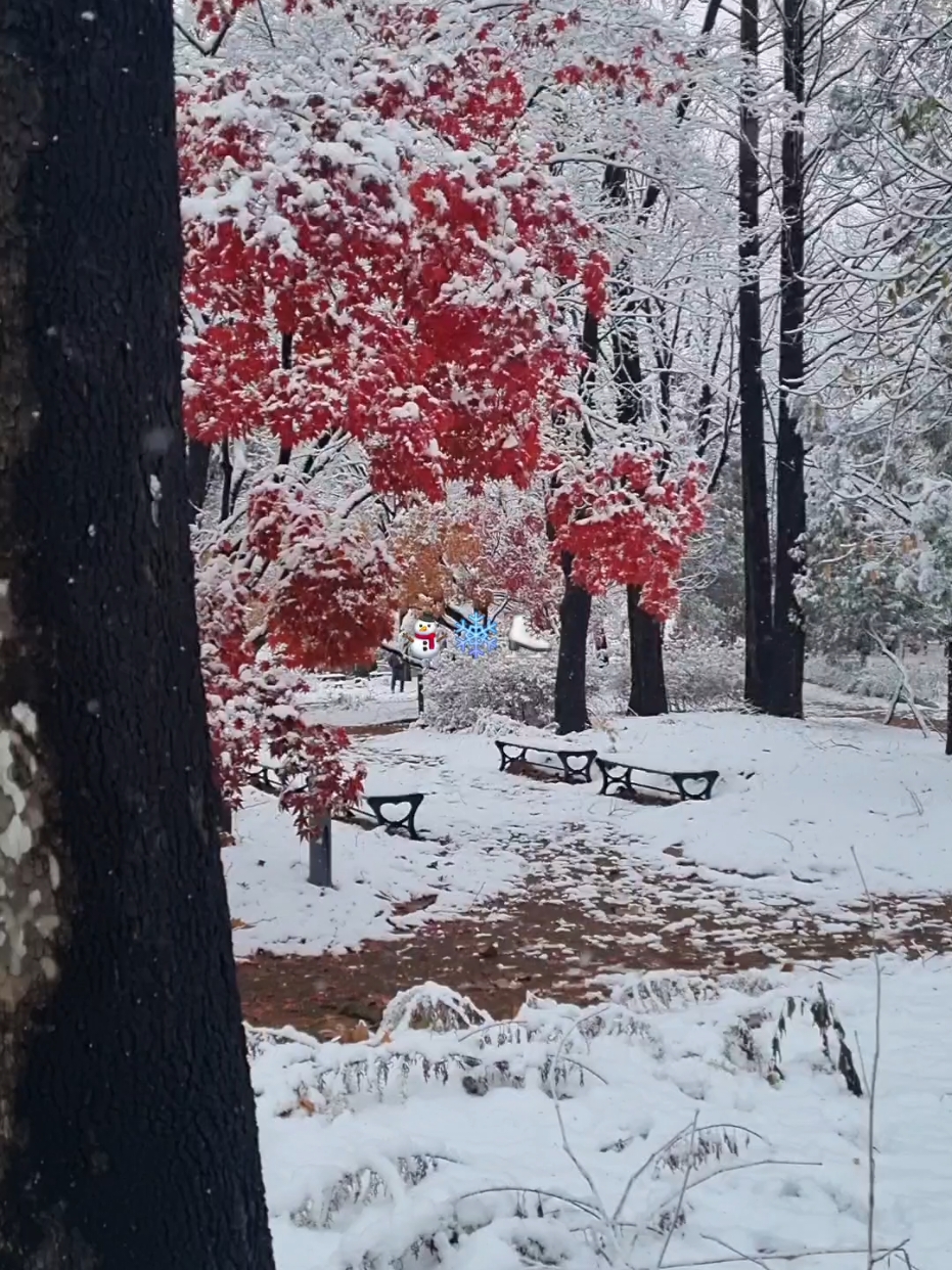 Năm nay Sehun nhập ngũ mất rồi 🥹 #firstsnow  #세훈 #엑소 #weareoneexo #firstsnowchallenge #fypシ゚viral #trending 