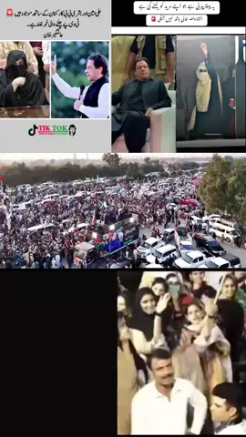 #foryoupage❤️❤️ #fyppppppppppppppppppppppp #foryoupage #foryoupage❤️❤️ #fyppppppppppppppppppppppp #italy🇮🇹 #italy🇮🇹 #foryoupage❤️❤️ 