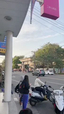 #貓貓的愛 