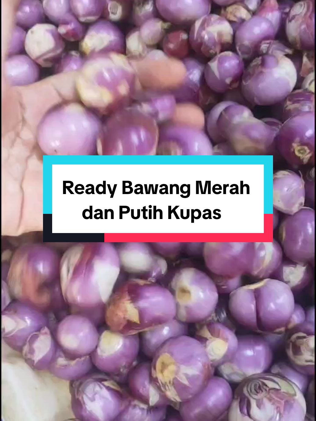 Nggak perlu ribet lagi mau masak kupas bawang, bisa order dikita bawang merah dan bawang putih kupas bersih dan ready banyak. Order sekarang 😍😍  #keluarga  #pasar #pasarbadung #pasartradisional #denpasar #masakcepat #belanjahemat #pasarmodern #tokoonline #pasarbadungonline #pasarbali #bawang  #masakanrumah #restoranbali #cafebali