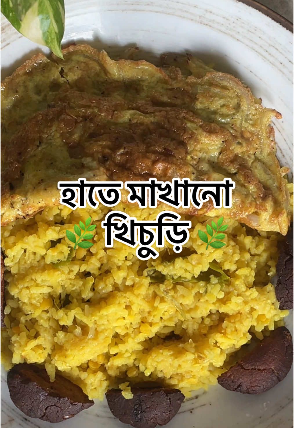 হাতে মাখানো খিচুড়ি 🌿 . . . . . . . . . . . . . #bipashaskitchen #recipes #cookingtiktok #cookingtips #cookingtips #bangladeshiranna #EasyRecipe #rannabanna #cookingathometiktoktv #রান্নাবান্না #রান্নাবাড়া #রান্না #রেসিপি #fyp #foodphotographer #foodphotography #banglarecipe #cookwithme #tiktokrecipe #khichuri #khichurilover #khichurirecipe #খিচুড়ি #EasyRecipe #cookingrecipe #bacheloretteparty #bachelorrecipe #midnights #midnightcooking #dalchawal #bipasharrannaghor #bipasharranna #happycook #happycooking #cookingvlog #banglaranna #bangladesh🇧🇩 #bdfood #bangladeshirecipes 