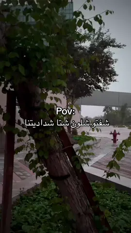 #إكسبلوررررررر_explore #fyp #kuwait #أغوى_كويتين #Vlog #الكويت #جامعة_الكويت_الشداديه #جامعة_الكويت #cba#كلية_العلوم_الإدارية #college #collegeofbusinessadministration #كلية_العلوم#fyppppppppppppppppppppppp #kuwait🇰🇼 #kuwait_tiktoker 