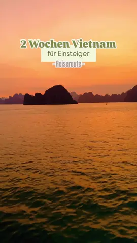 2 Wochen Vietnam Rundreise mit @journaway | Reisen 🌴 Zwei Wochen sind perfekt für den Einstieg und um einen ersten Einblick von Vietnam zu bekommen. ☀️Besser sind natürlich 3 Wochen 😁 Die komplette Tour kannst du so mit @journaway erleben. Journaway kümmert sich dabei um alles. Du musst nur genießen! 💡 Mit meinem Code Abenteuermomentexjournaway sparst du 150 € auf dein nächstes Abenteuer. Schau doch mal, wohin es für dich als Nächstes gehen könnte! P.S. Aktuell gibts es noch mega BlackWeek Angebote - somit sparst du doppelt. *Gutschein gilt bist 10.12.2024 💬 Erzählt mal, was ist euer nächstes Reiseziel? #vietnam #bucketlist #journaway #abenteuer #travel #onceinalifetime #reisen #wanderlust #reisetipps #exploremore #reiselust #wanderlust