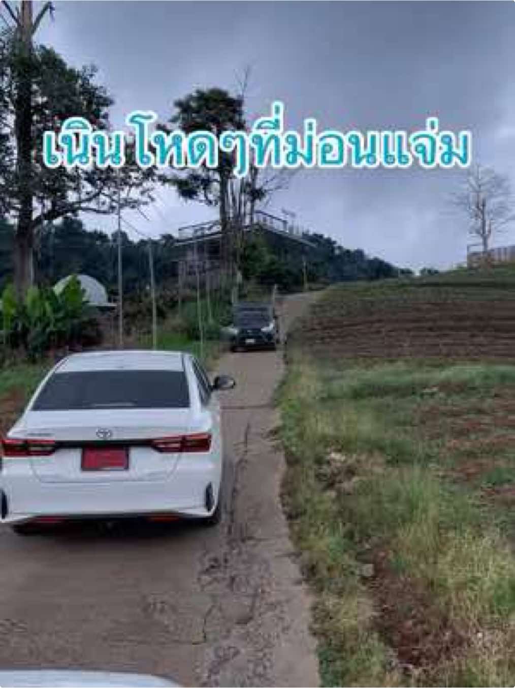ม่อนแจ่มเนินนี้รถเก๋งเล็กขึ้นได้ไหม? ตามรถนักท่องเที่ยวไปดูกับเจ้าโตโยต้า ยาริส เอทิฟ เครื่องยนต์ 1,200 #ม่อนแจ่ม #ม่อนหมอกฟ้า #บ้านภูหมอก #สวนยิ่งยงเชียงใหม่ #ม่อนแจ่มเชียงใหม่  #เชียงใหม่ #เที่ยวไหนดี #เที่ยวไทย #ดอยม่อนแจ่ม #โตโยต้าล้านนา #โตโยต้าล้านนาฮาม่วน #Ativ #รถโตโยต้า #fyp #เทรนด์วันนี้ 