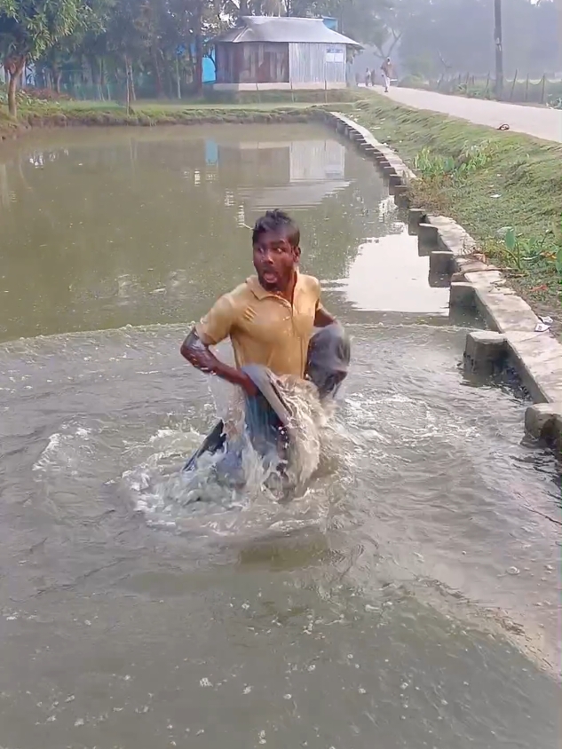 সেই লেভেলের ফানি ভিডিও#funny #comedia #trending #viralvideo #bdtiktokofficial 