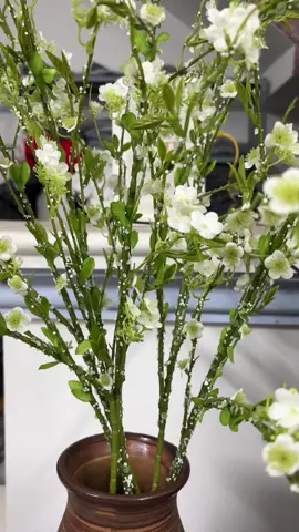 Tuyết mai bày ngày tết#xuhuongtiktok #tet2025 