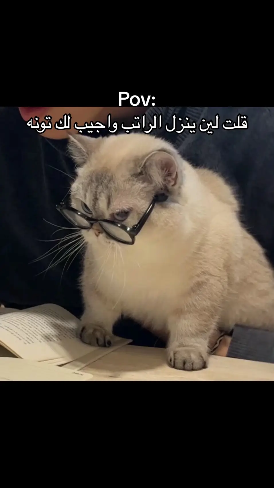 #explore #fyp #cat 
