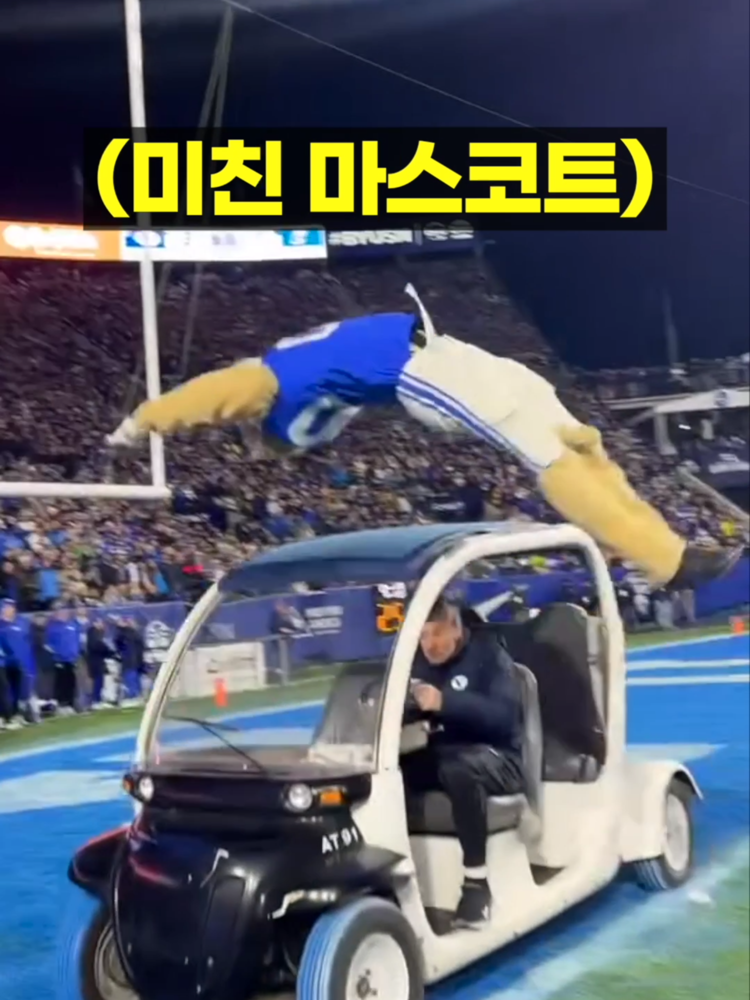 죽을 각오로 일해야되는 마스코트 (미국 대학 미식축구 문화)