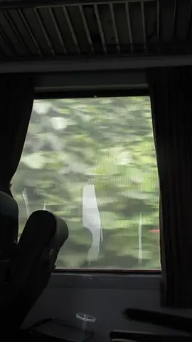 Biết làm gì đây, ngoài việc phải thức dậy cả khi không ngủ #fyp 