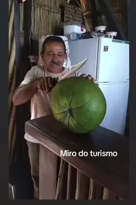 Toranja uma laranja enorme, vem comigo conhecer na Ilha de Itamaracá #ilhadeitamaraca #toranja #turismo #mirodoturismo #ilha #natureza #trilha 