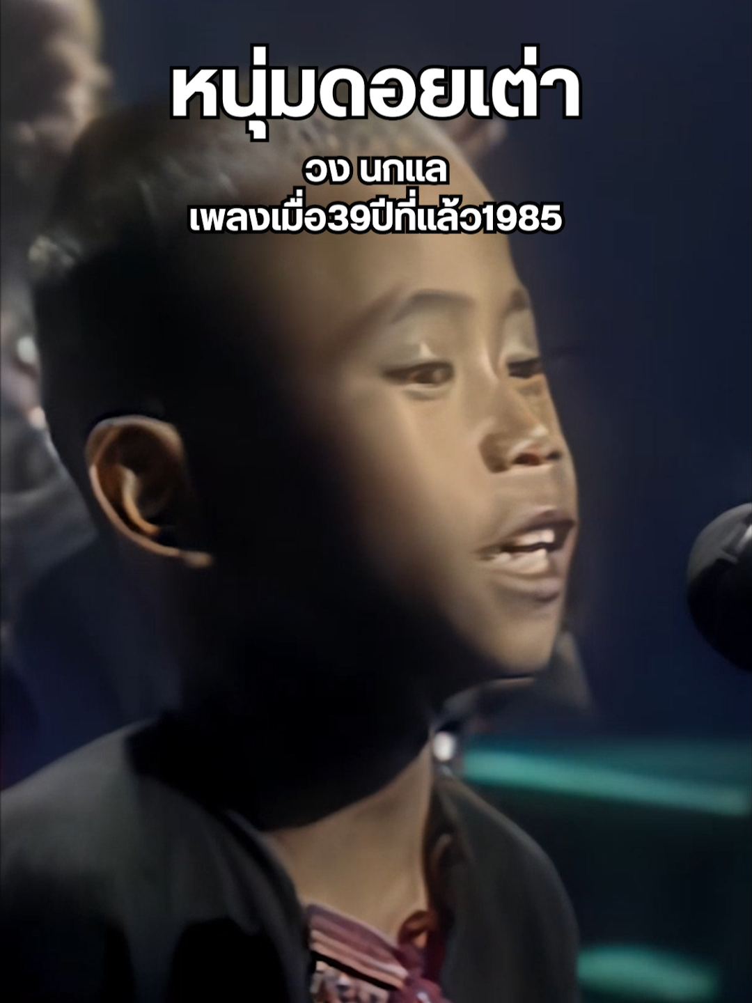 หนุ่มดอยเต่า - นกแล #นกแล #หนุ่มดอยเต่า #เพลง #ดอยเต่า #เพลงฮิตtiktok