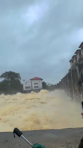 වාන් සියල්ල ඇරු දැදුරු ඔය 😟 මොකක්ද මෙ ලන්කාවට වෙන්නේ 😟🙏#foryou #daduruoyadam #travaling #wariyapola 