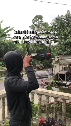 konten doang boy🤭#fyppppppppppppppppppppppp #sogonmaniaindonesia #sogonngleper #fypシ゚viral🖤tiktok #สโลว์สมูท #fyp #dextro87 #boom69 