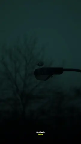 Aamin yar 🐐🎤#calaacal_lyrics #somalitiktok12 #fouryoupage #fyp @Ali zaki @Daaci bilan 🤴 @Mr Cigge @Qays Qeyser 