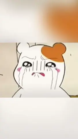 Vd cho những ai hay dỗi ny#tiktokvnzla #How #mờ #xuhuongtiktok 