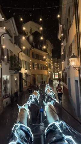 Christmas vibes in Rheinfelden, Switzerland 🎄  Cruising the old town in a horse-drawn carriage 🐴 Who’s joining? 👀 #fyp #switzerland #IneedSwitzerland #christmas #winterwonderland 