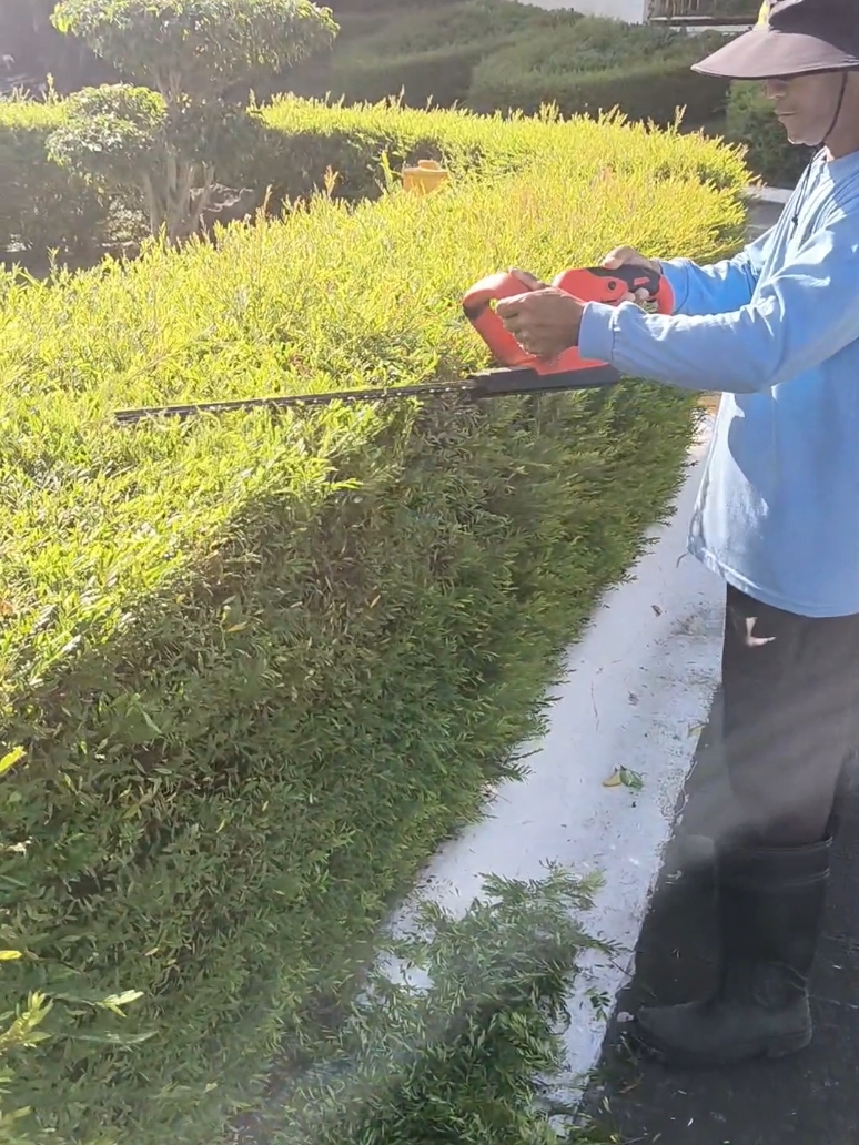 Cordless Electric Hedge Trimmer #cordless #hedge #trimmer