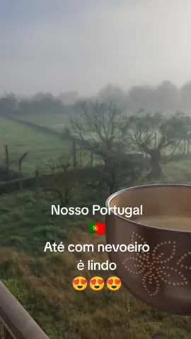 #portugal🇵🇹 , até com nevoeiro é lindo #pourtoi #fyp natureza 🌱🌿🌳🌲,verdura,oxigènio,Paz e repouso #emigrantes 🫶🫶🫶 #serradaestrela , Beira baixa 🏞️🇵🇹🇵🇹❤️😍😌