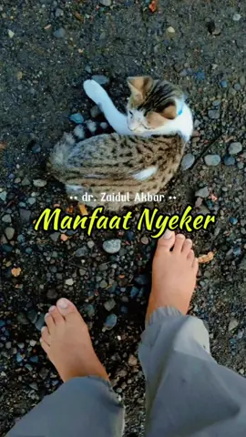 yuk mulai besok pagi sempetin nyeker 15 menit aja dirutinin tiap pagi ❤️ #tipsbuatkamu #tipssehat #tipssehatalami #tipskesehatan #resepjsr #zaidulakbar #fypage #fyp #fyppppppppppppppppppppppp 