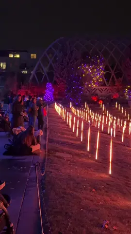 Dancing Light Show ✨ 📍Blossoms of Light, CO @Denver Botanic Gardens  #travel #traveling #traveltiktok #explore #aesthetic #colorado #fyp #fy #adventure #denver #blossomsoflight #botanicalgarden #botanical #christmas #christmaslights #display #fun #family #music #musiclights 