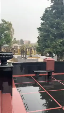 qardaş 8 ildirki hər kəsin gözləri yaşlı qalıb allah sənə rəhmət eləsin  böyük qardaş