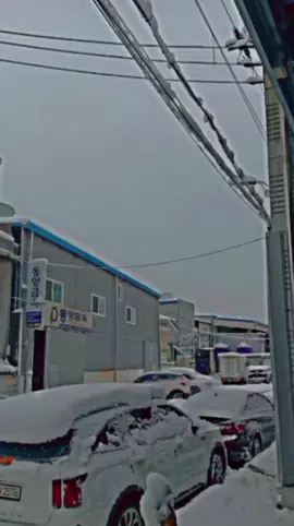 😂🤣 #snowfalling #funny #viral #foryou #tiktok #trending 