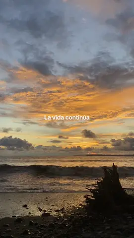 #lavidacontinua #badbunny #vida #fyp #paratodos #badbunnypr #paz 