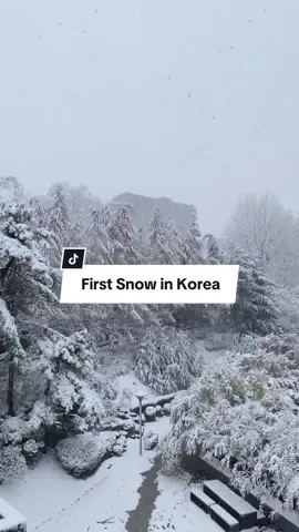 Đón tuyết đầu mùa tại Hàn Quốc ~  #seoul #duhocsinhhanquoc #첫눈 #soongsiluniversity 