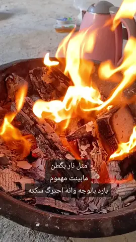 ومضة💔🌹